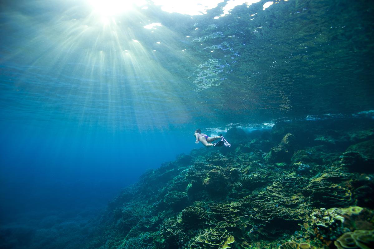 Once underwater, under the guidance of certified instructors, you can navigate through vibrant coral gardens, and swim alongside schools of colourful fish