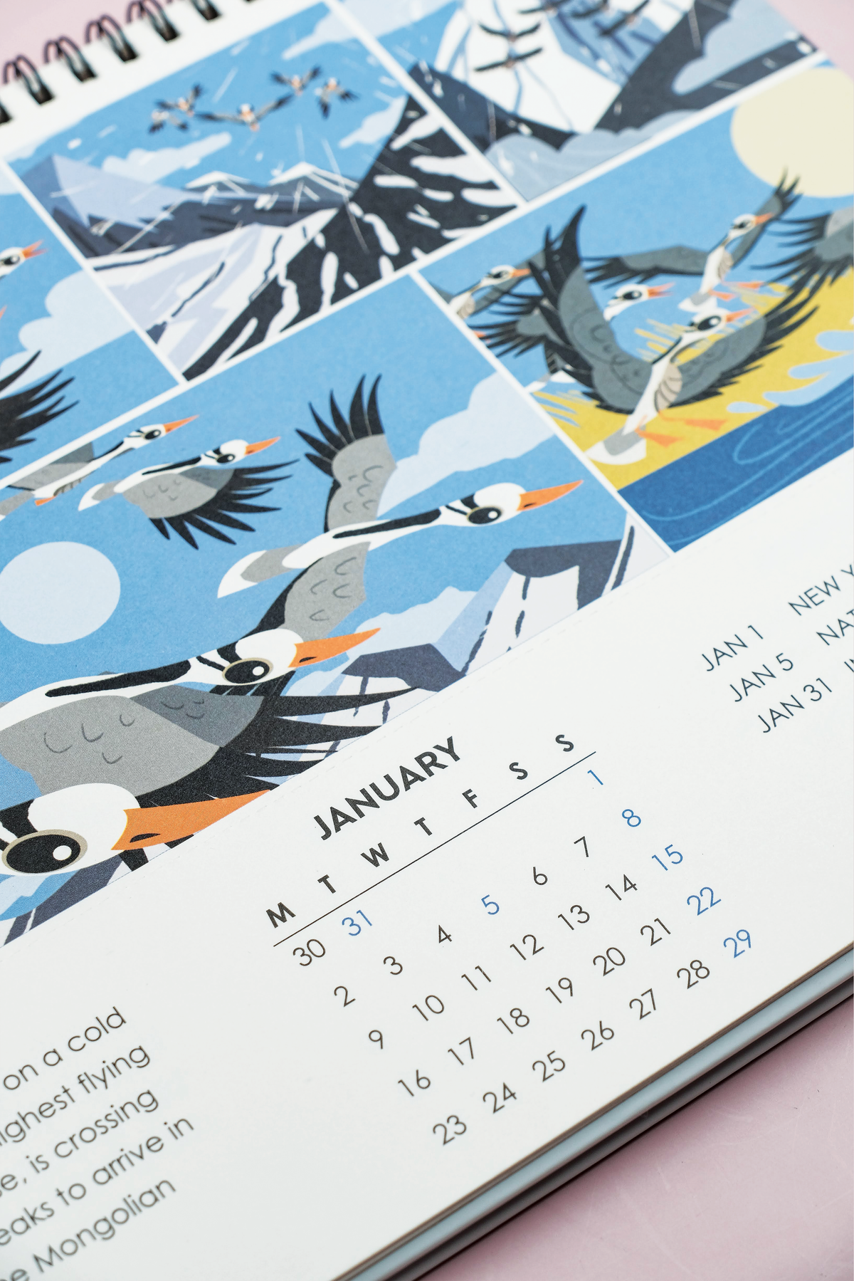 The Bird of the Month calendar by Rohan Chakravarty