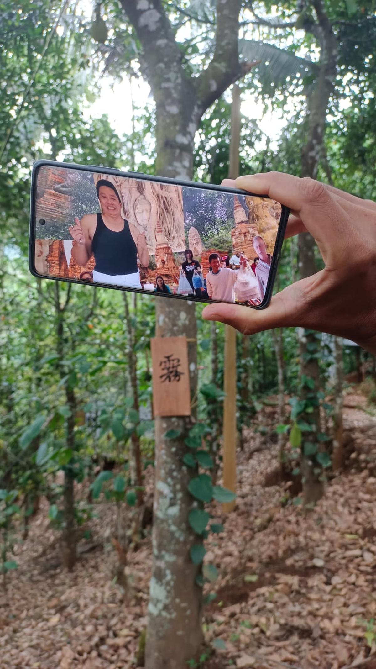 A snapshot of the AR-powered forest A snapshot of the AR-powered forest