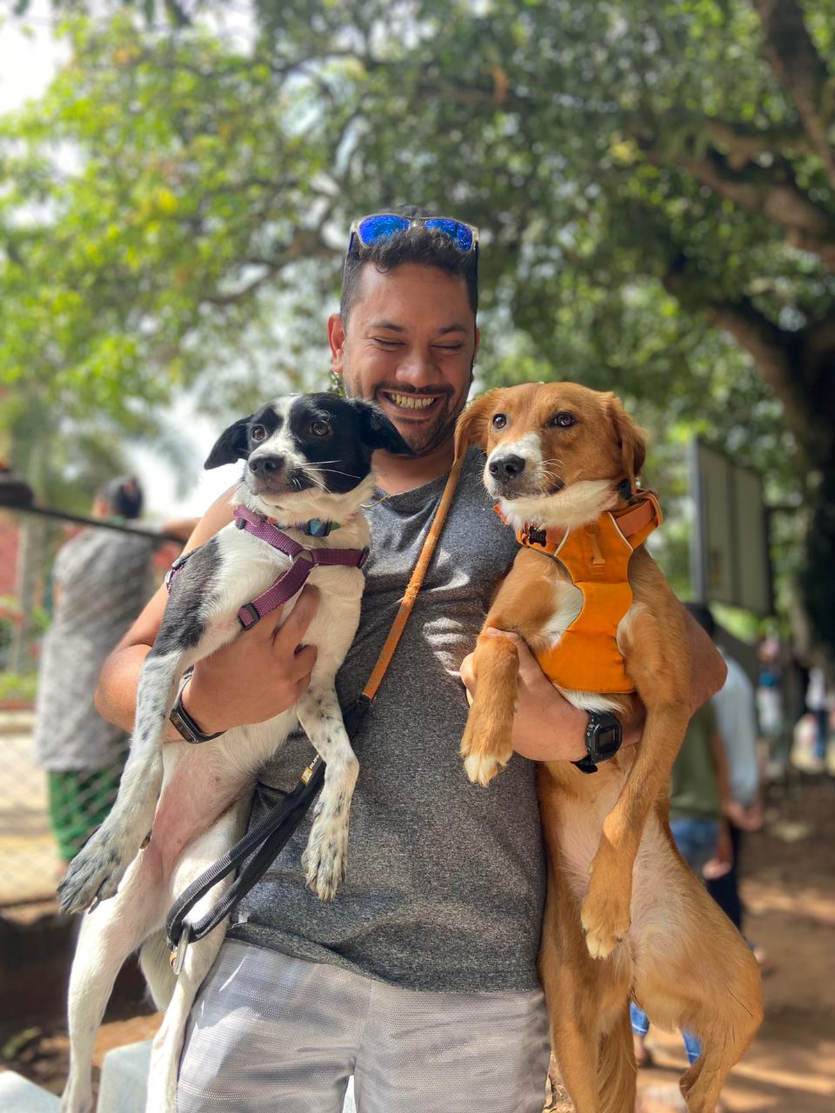 At the CJ Memorial Trust Dog Park