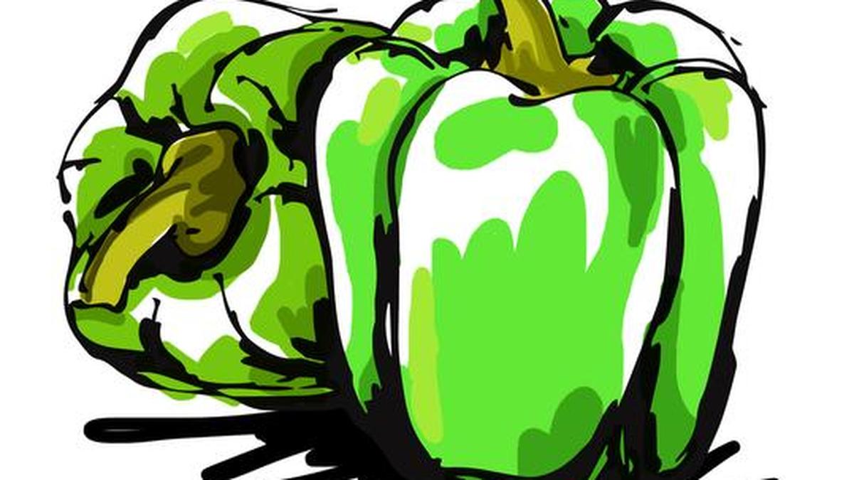 Capsicum thokku The Hindu