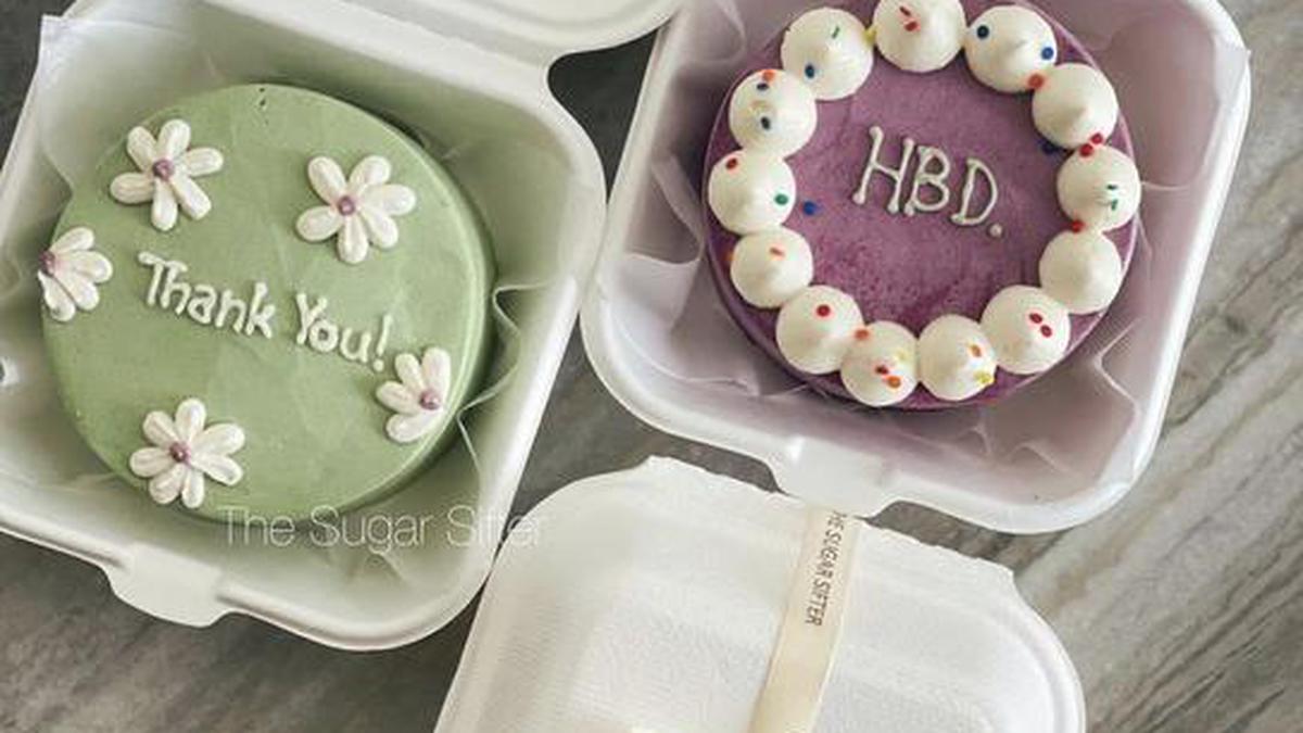 Introducing the Bento Cake Trend, Cake Craft CompanyCake Craft Company