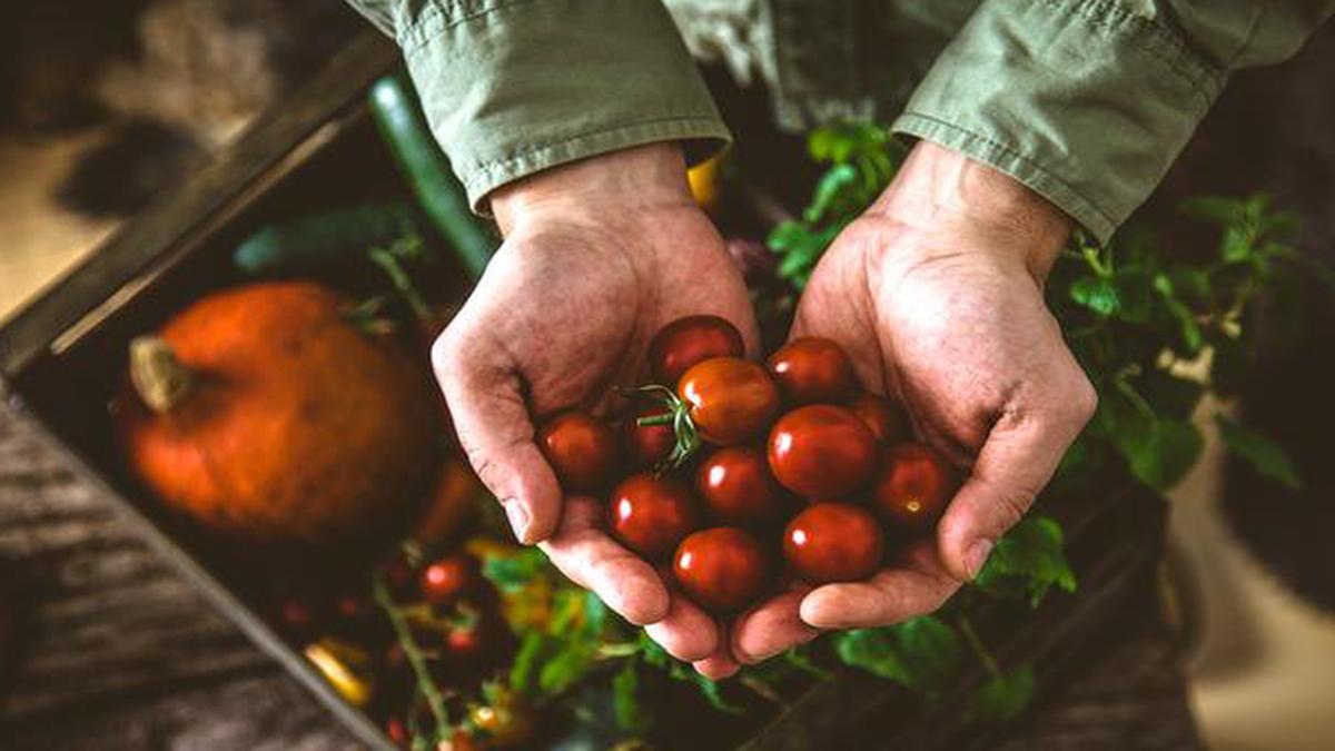 Looking back at a decade in the world of food