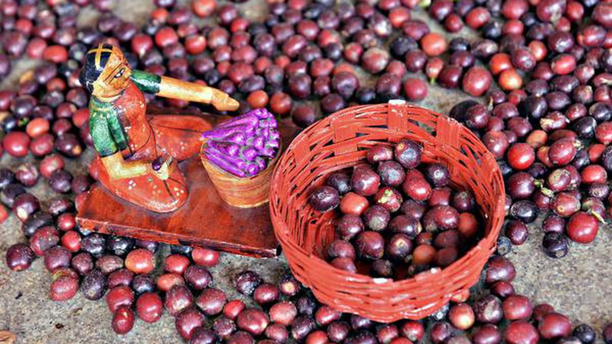 Women's group in Sicily uses traditions of coffee and tea to brew unity  amid migrant crisis