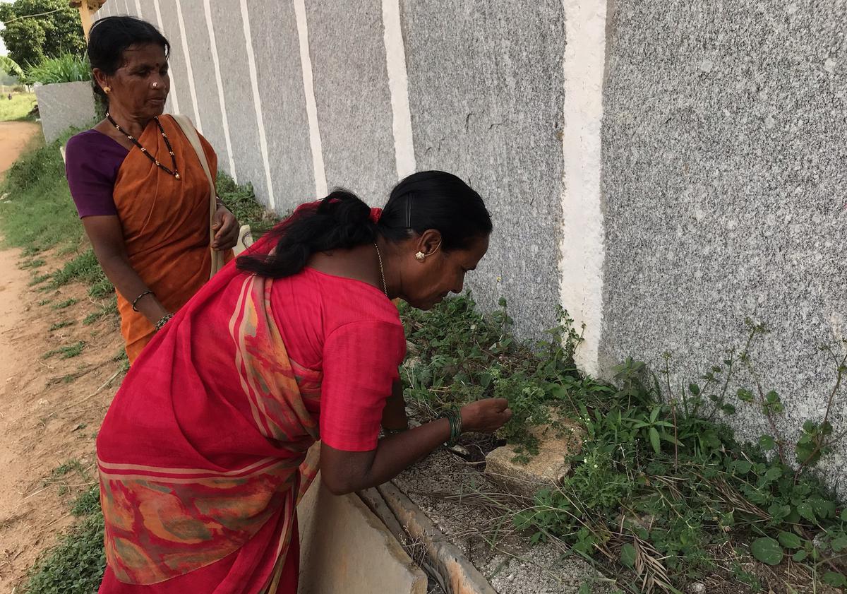 Women having food in Sarjapur