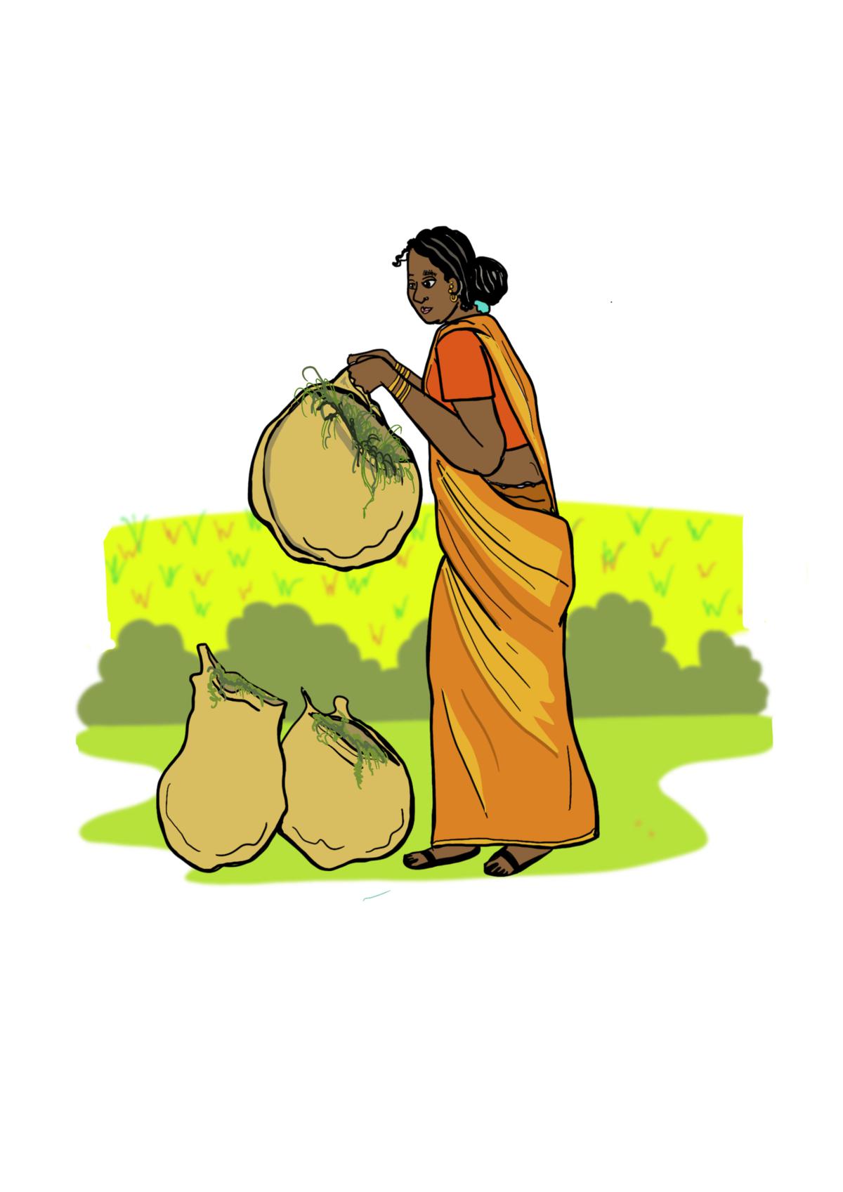 Illustration of woman with her foraged herbs from the book Chasing Soppu