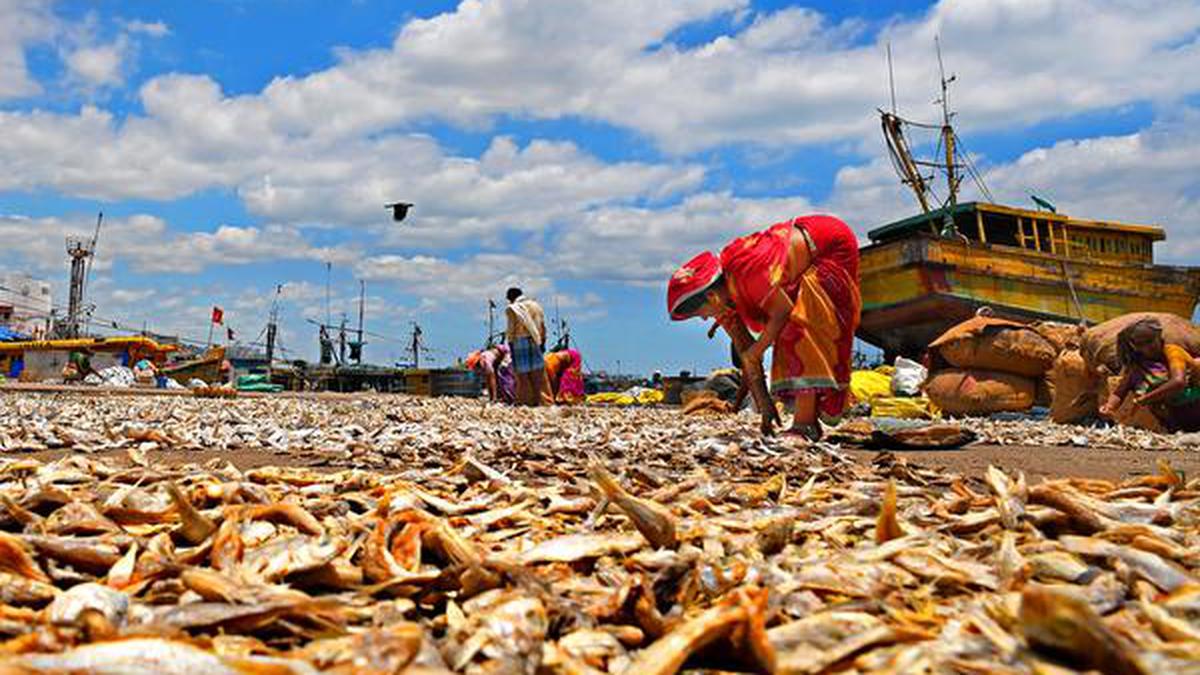 Dried fish is a much-loved alternative to fresh fish across the country