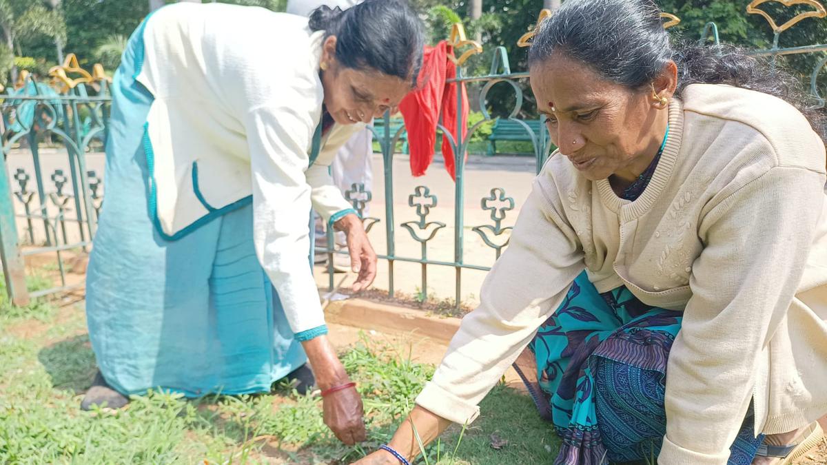 The Hidden Harvest: Foraging for food in Bengaluru’s parks, lakes and empty plots