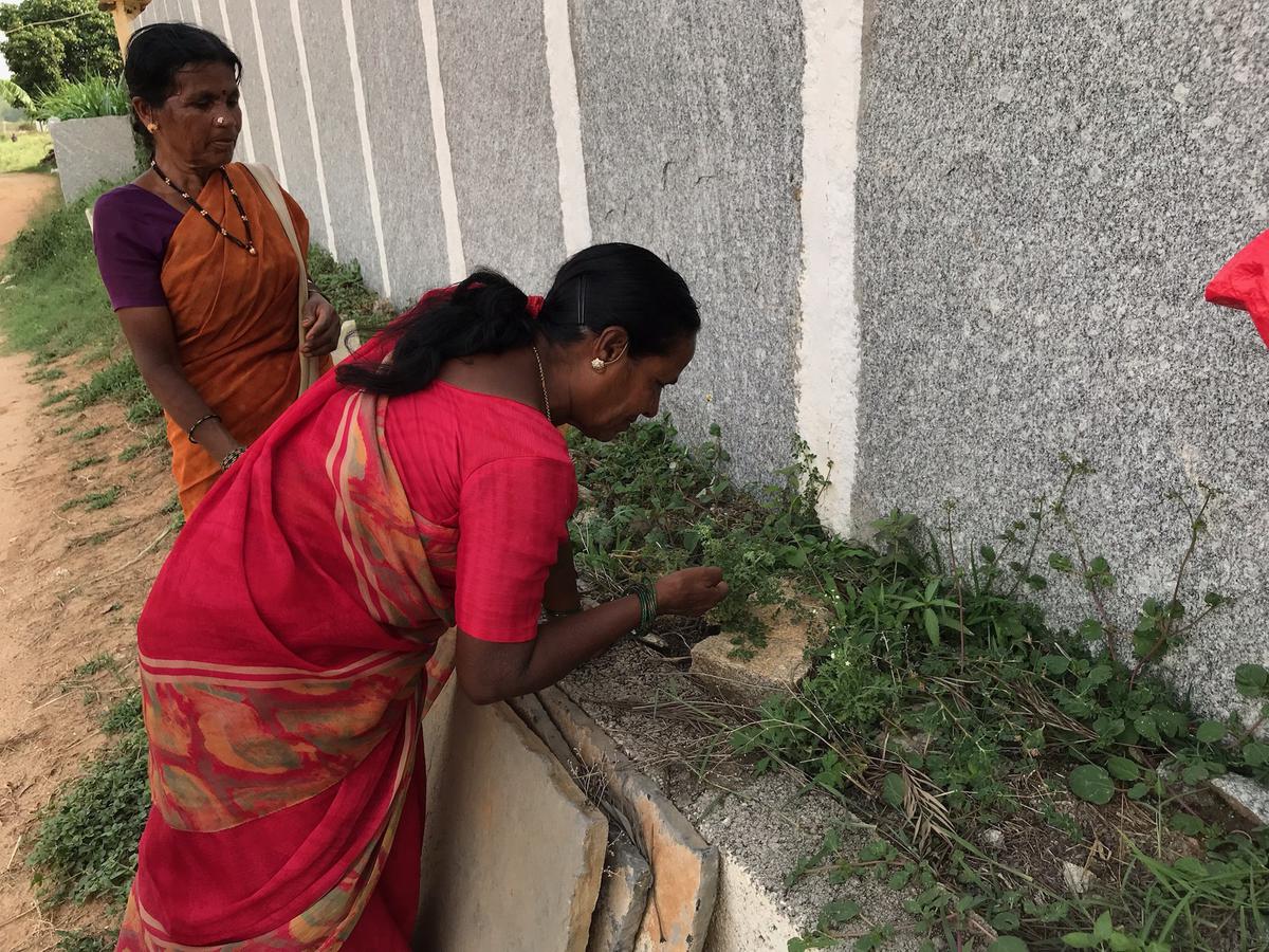 Women foraging in Sarjapur