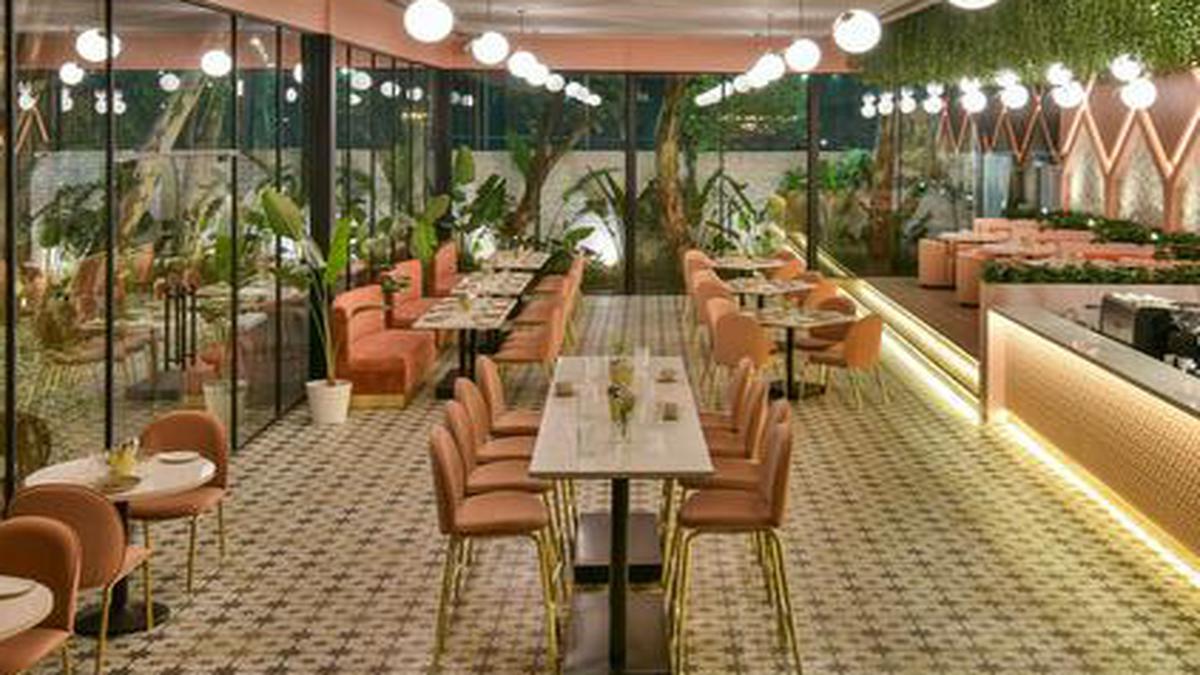 Review: Tiger Lily Bistro, Hyderabad - The Hindu
