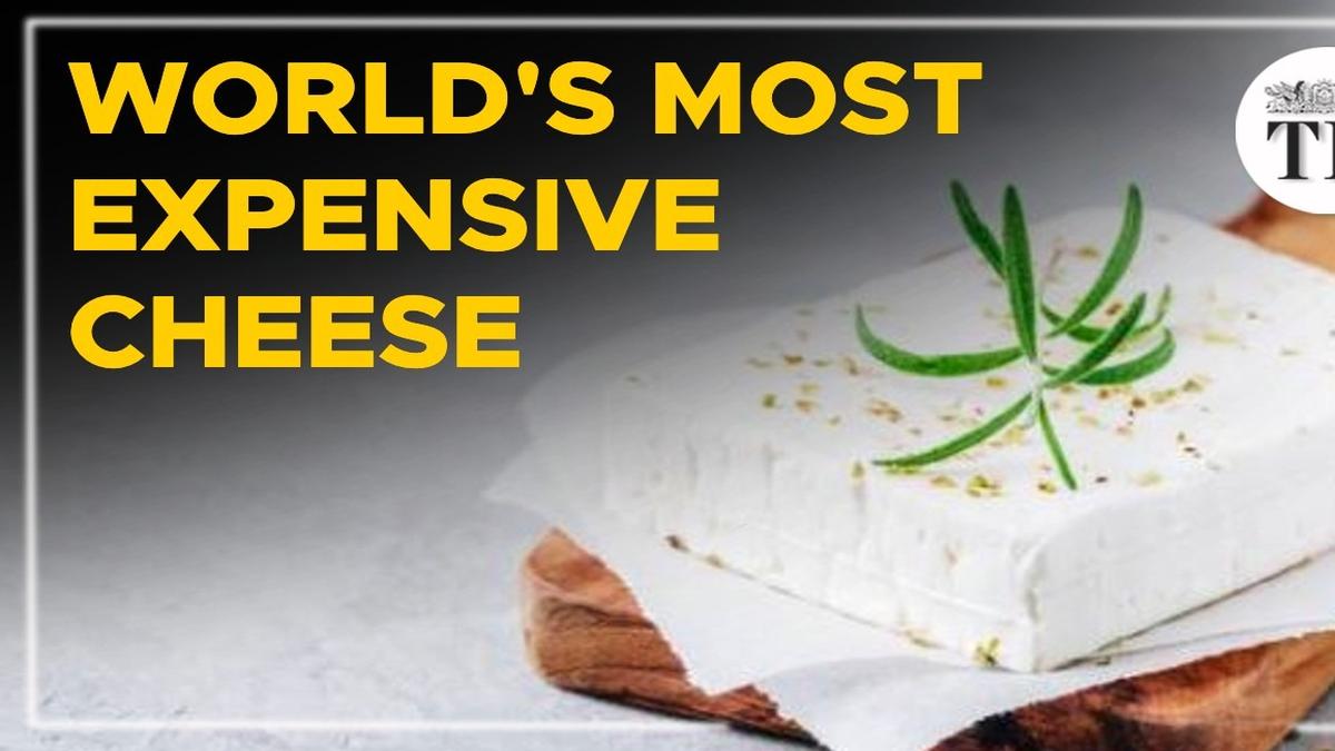 Watch Why is Pule Cheese the most expensive in the world? The Hindu