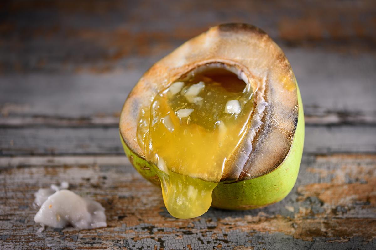 मीठा विस्तार: श्री आनंदास चेन्नई में अपने हस्ताक्षर स्वाद लाता है 1 Elanner%20Halwa%201