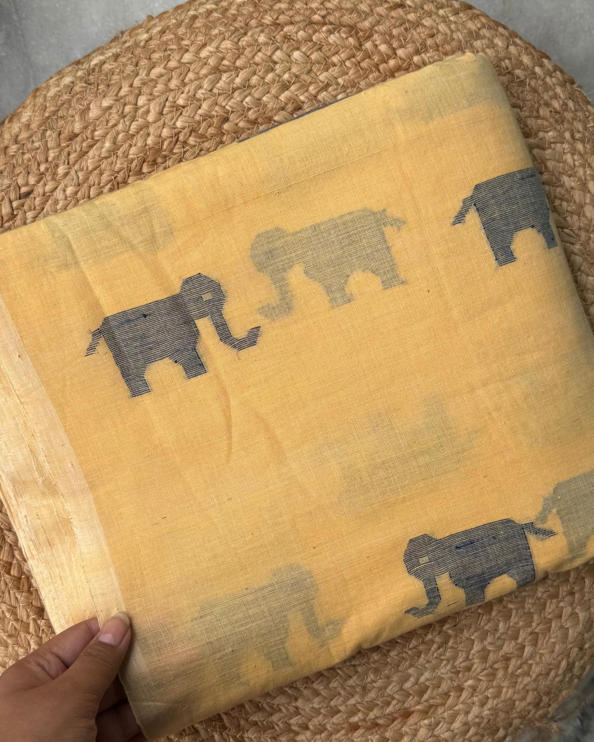 The Bengal muslin sari, revived by The MG Gramodyog Sewa Sansthan (MGGSS) Foundation The Bengal muslin sari, revived by The MG Gramodyog Sewa Sansthan (MGGSS) Foundation