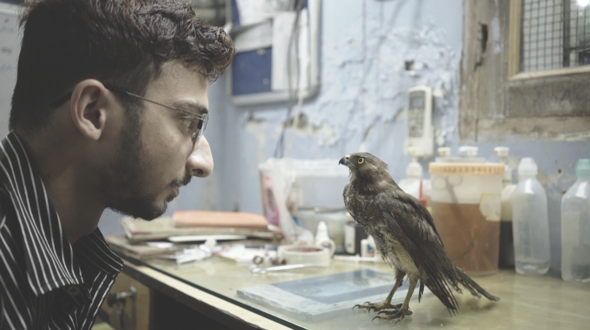 A still from Shaunak Sen’s All That Breathes