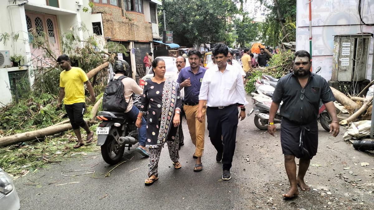 MLA Ezhilan Naganathan surveys his assembly constituency during cyclone Michaung