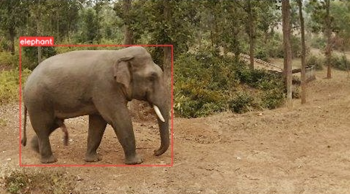 Image captured by TrailGuard AI