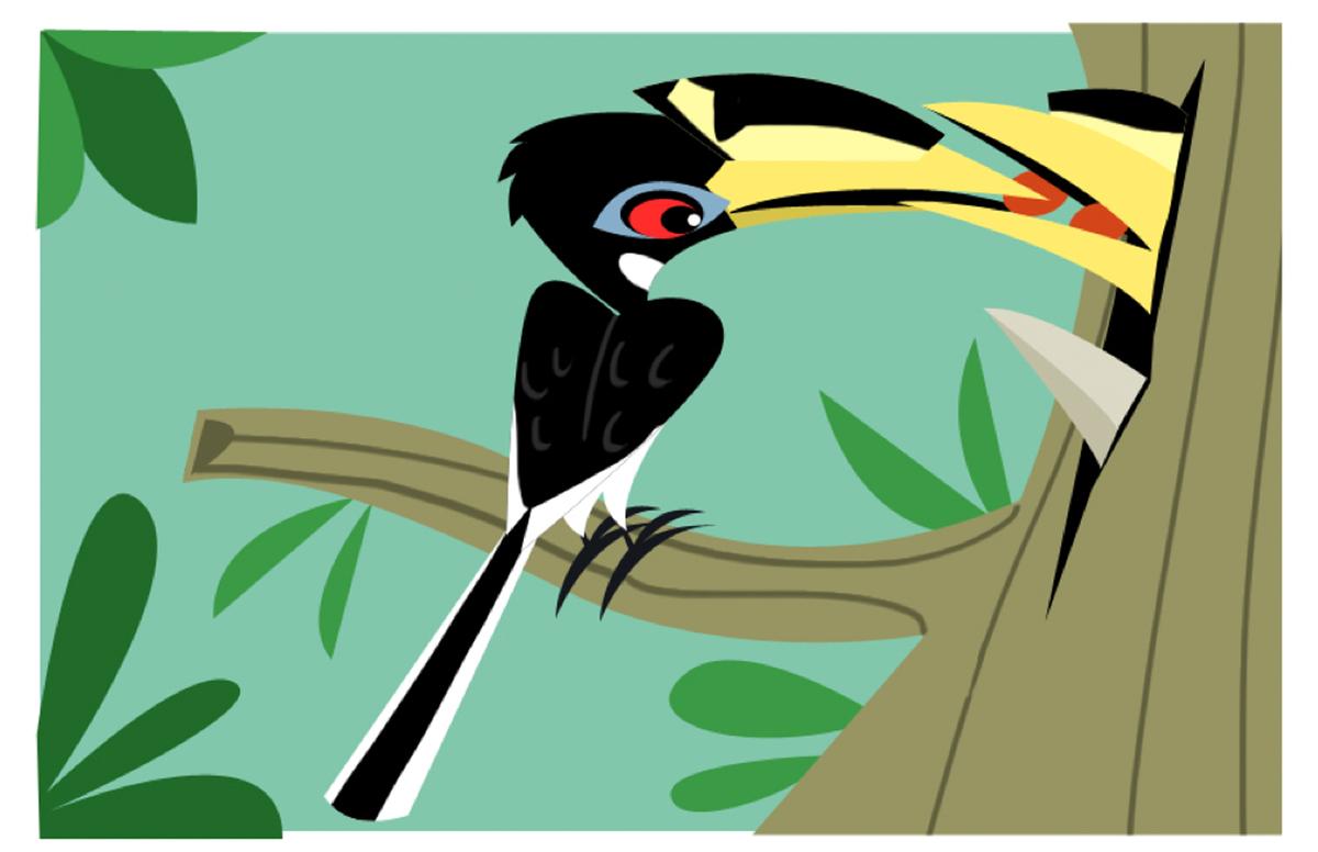Hornbill parent Hornbill parent