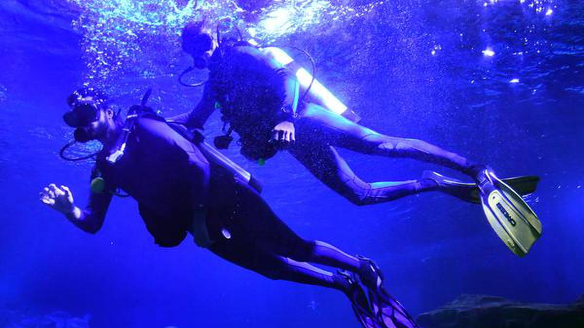 Going scuba diving in an aquarium in Chennai