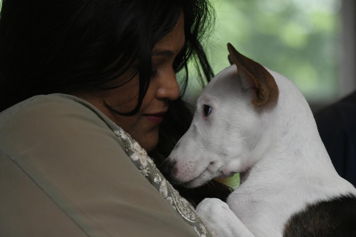 A woman pets a street dog at an adoption drive in Kochi