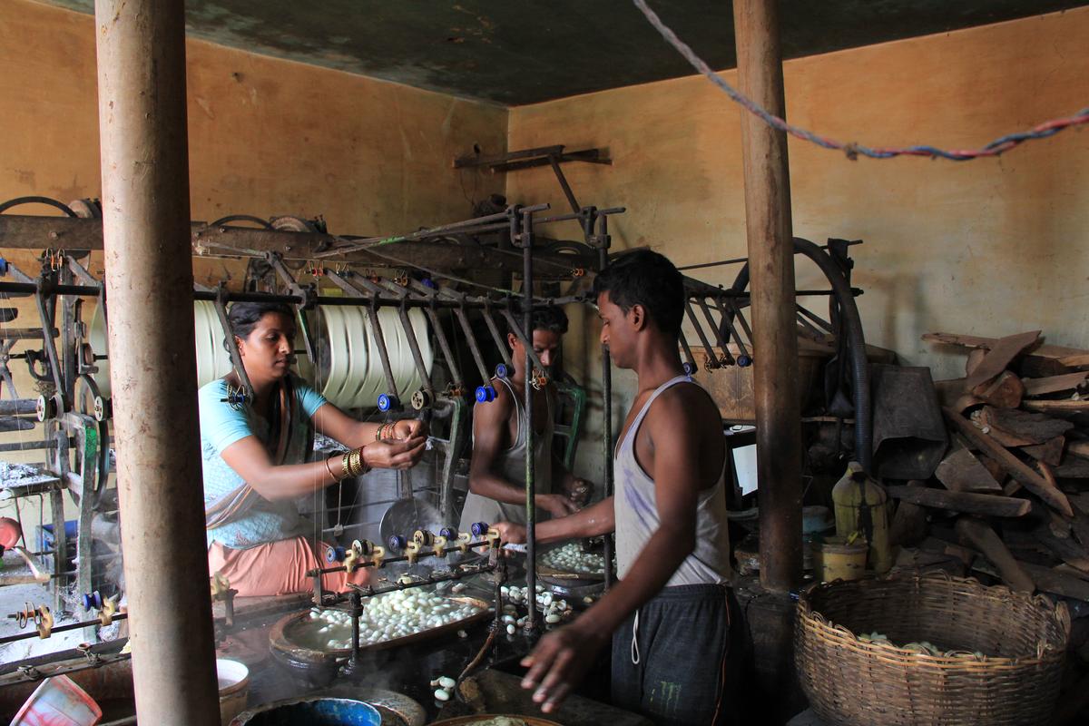Quasi il 50% della seta di gelso del paese viene prodotta in Karnataka