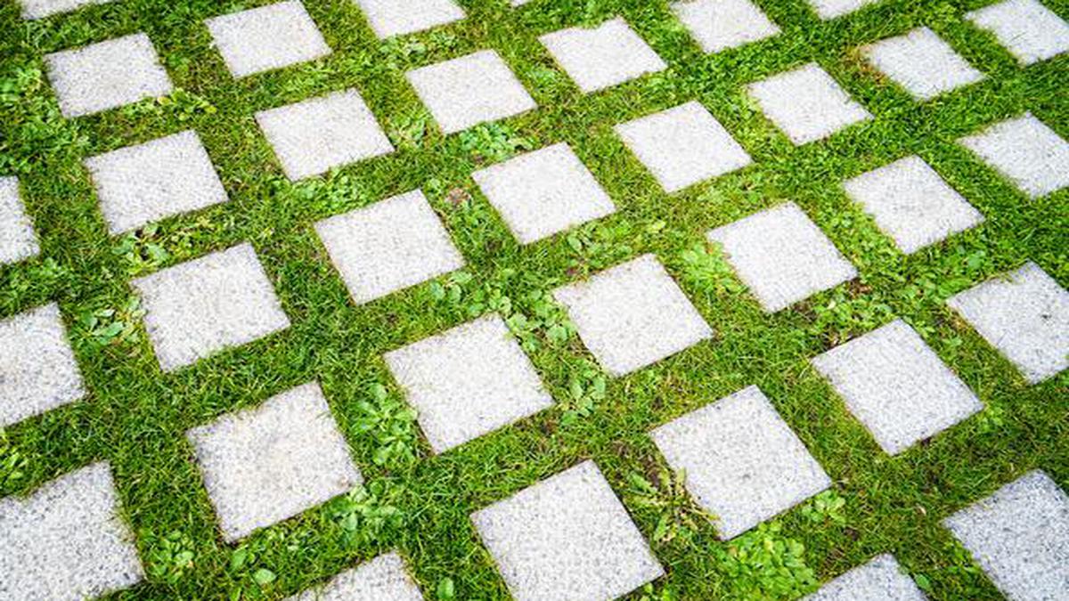 Grass Block Pavers: Everything You Need To Know For A