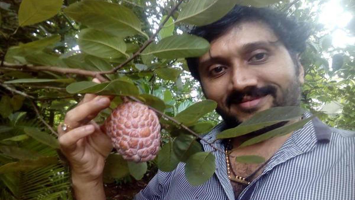 Green Grama in Kerala is an Eden of exotic fruits from around the world