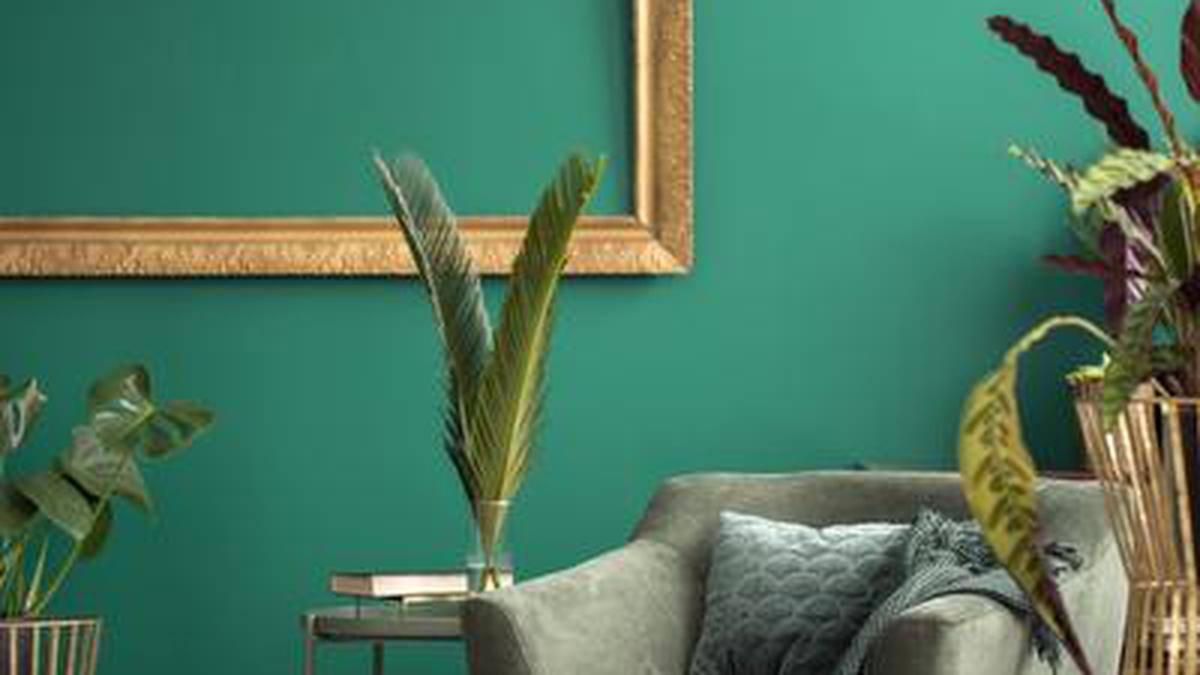 Choosing a colour for your accent wall