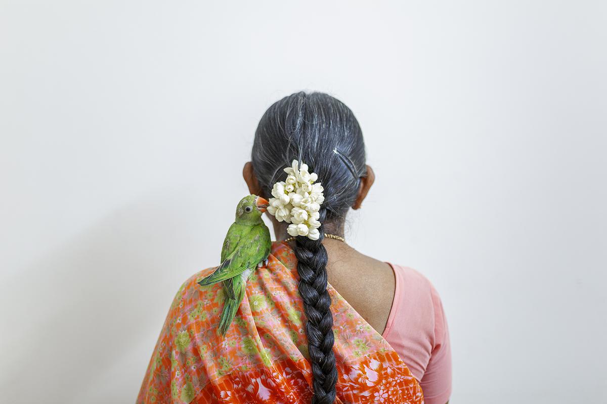 This Chennai photographer documents Tamil Nadu women with their hair done  up with flowers - The Hindu