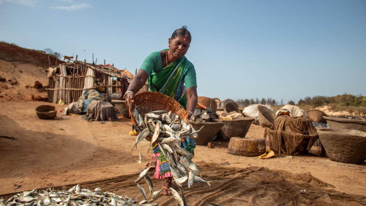 Fisherwomen-turned-photographers to display their work at Chennai exhibition