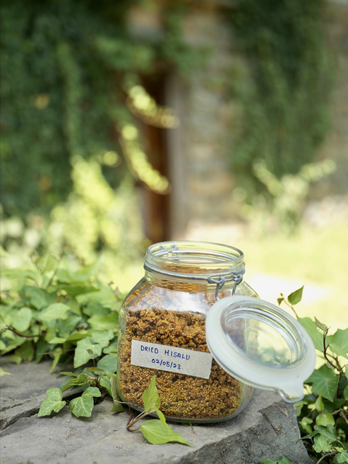 Dried hisalu berries