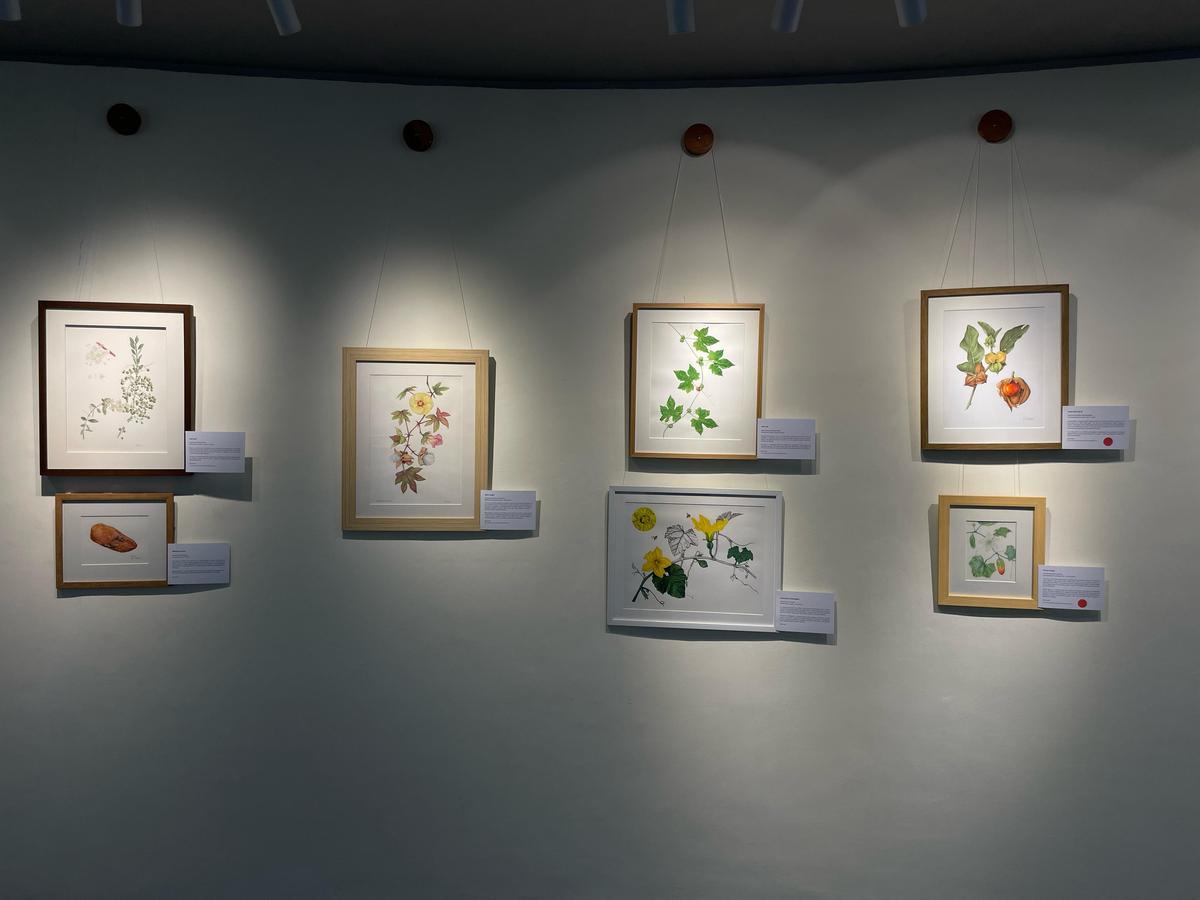 At the Global Botanical Art Exhibition At the Global Botanical Art Exhibition