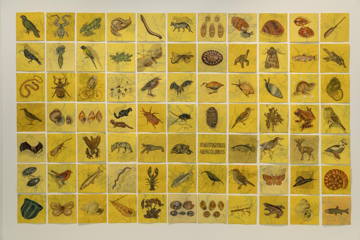 लुप्तप्राय पुरालेख, लुप्तप्राय और विलुप्त प्रजातियों के लगभग 1,200 चित्रों के साथ