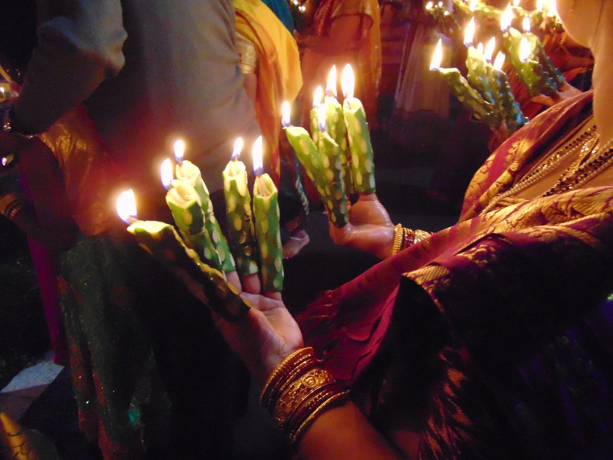 Flaming fingers at midnight: In Goa, a succulent has become a symbol of local ecology, migration and community