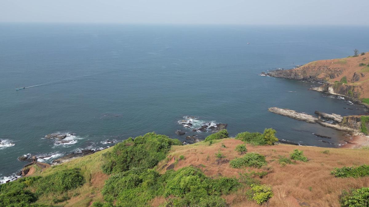 गोवा इन डॉल्फ़िनों के लिए विशेष रूप से अच्छा निवास स्थान है क्योंकि तट पर बहने वाली नदियाँ पोषक तत्वों से भरपूर, विविध पारिस्थितिकी तंत्र का निर्माण करती हैं गोवा इन डॉल्फ़िनों के लिए विशेष रूप से अच्छा निवास स्थान है क्योंकि तट पर बहने वाली नदियाँ पोषक तत्वों से भरपूर, विविध पारिस्थितिकी तंत्र का निर्माण करती हैं