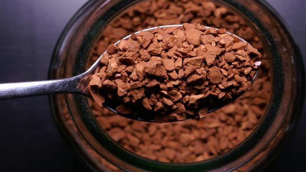 This Vs That Filter coffee or Instant? The Hindu