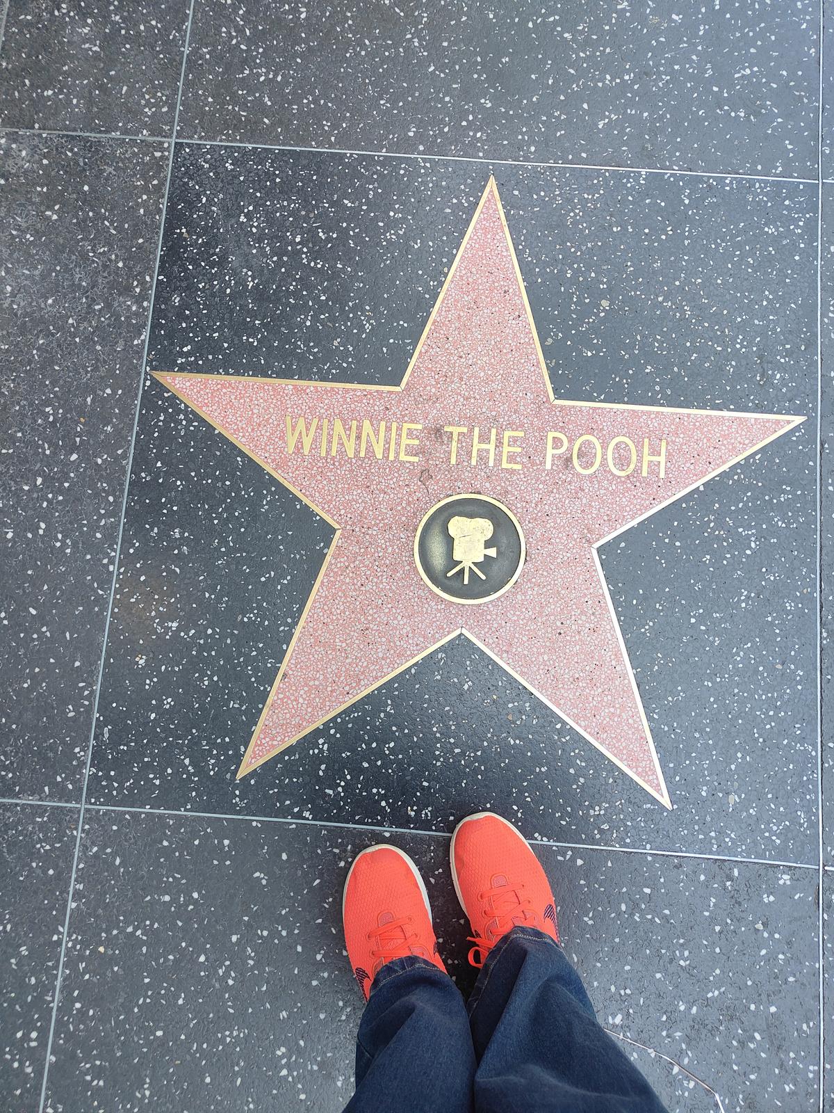 Winnie the Pooh’s star at the Hollywood Walk of Fame Winnie the Pooh’s star at the Hollywood Walk of Fame