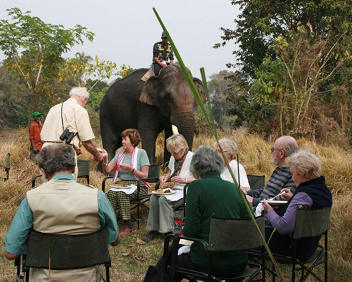 Tourists at Diphlu River Lodge