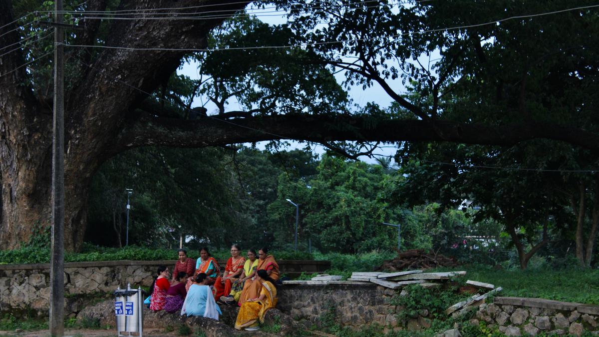 Women’s day 2024| This Chennai photo exhibition documents women outdoors