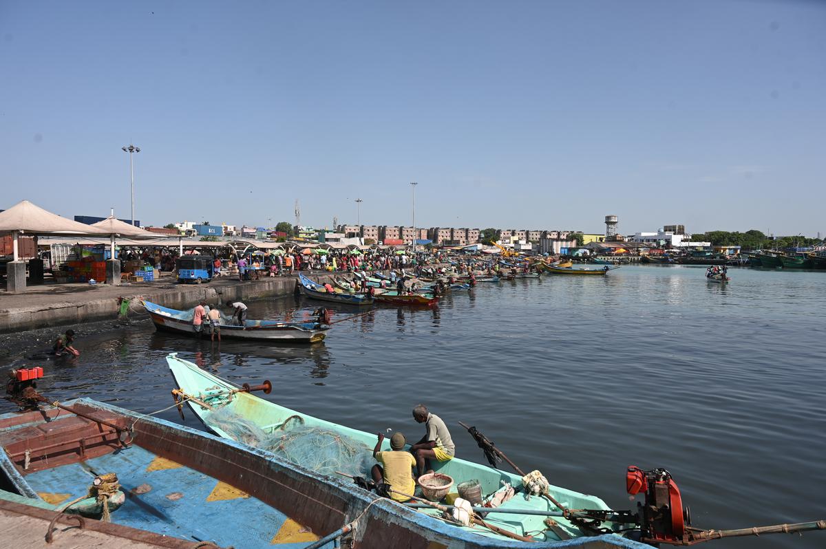 A view of the wharf at Kasimedu