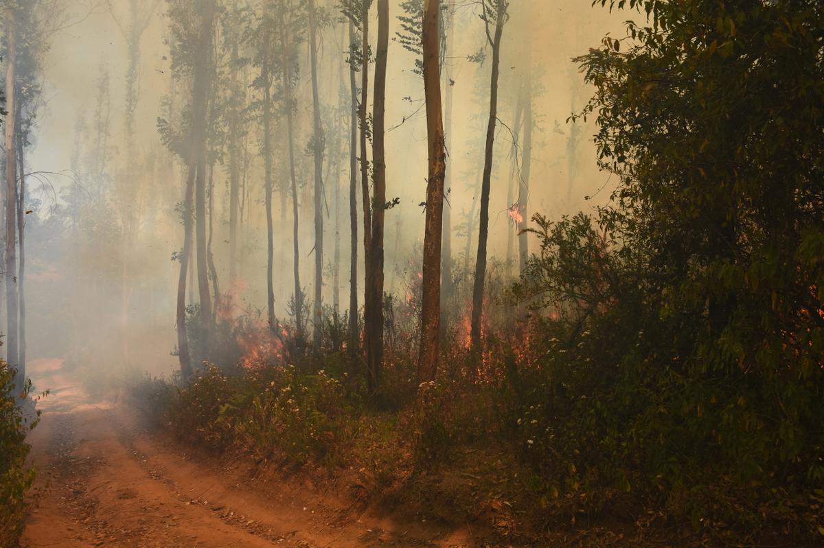 Udhagamandalam | The Nilgiris on high alert 2 Udhagamandalam | The Nilgiris on high alert 2