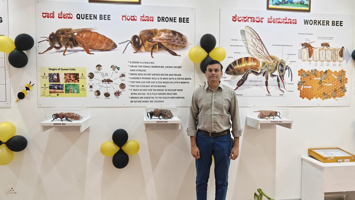 This new museum in Shivamogga educates people about bees and beekeeping