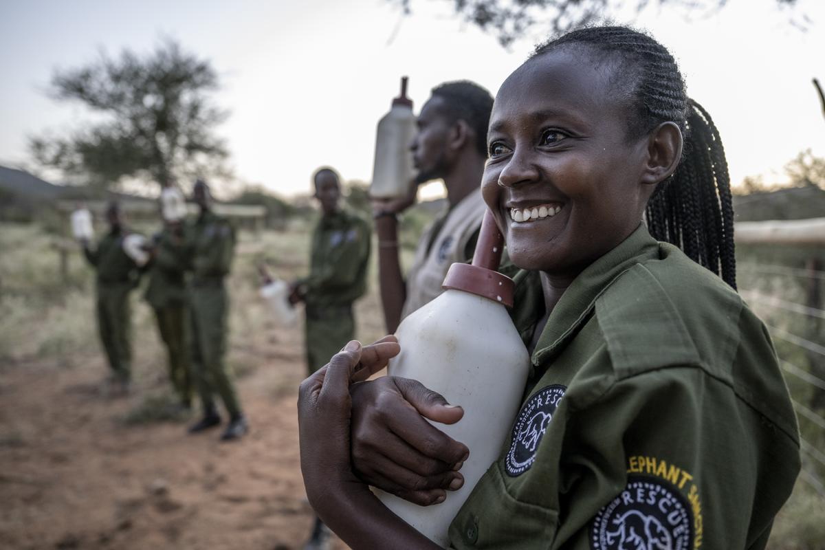 Naomi Leshongoro holds milk as 13 orphaned elephants from Reteti Elephant Sanctuary are given their last bottle before being returned to the wild.