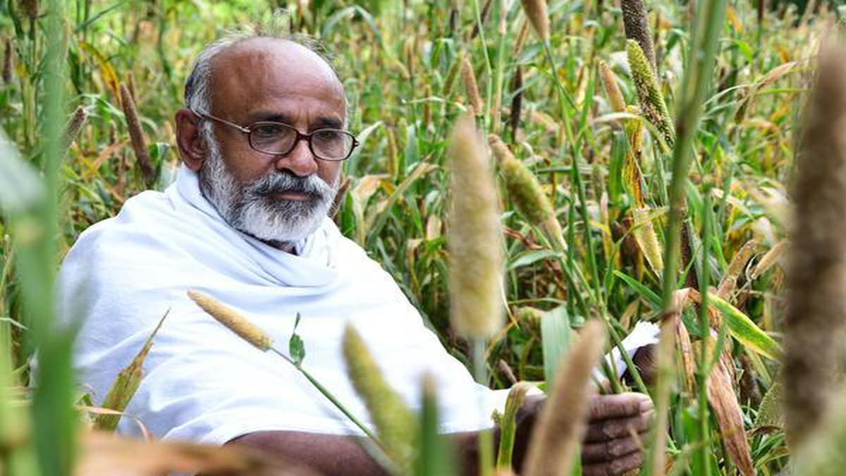 Farmer Muthu Murugan grows millets for birds in his farm land - The Hindu