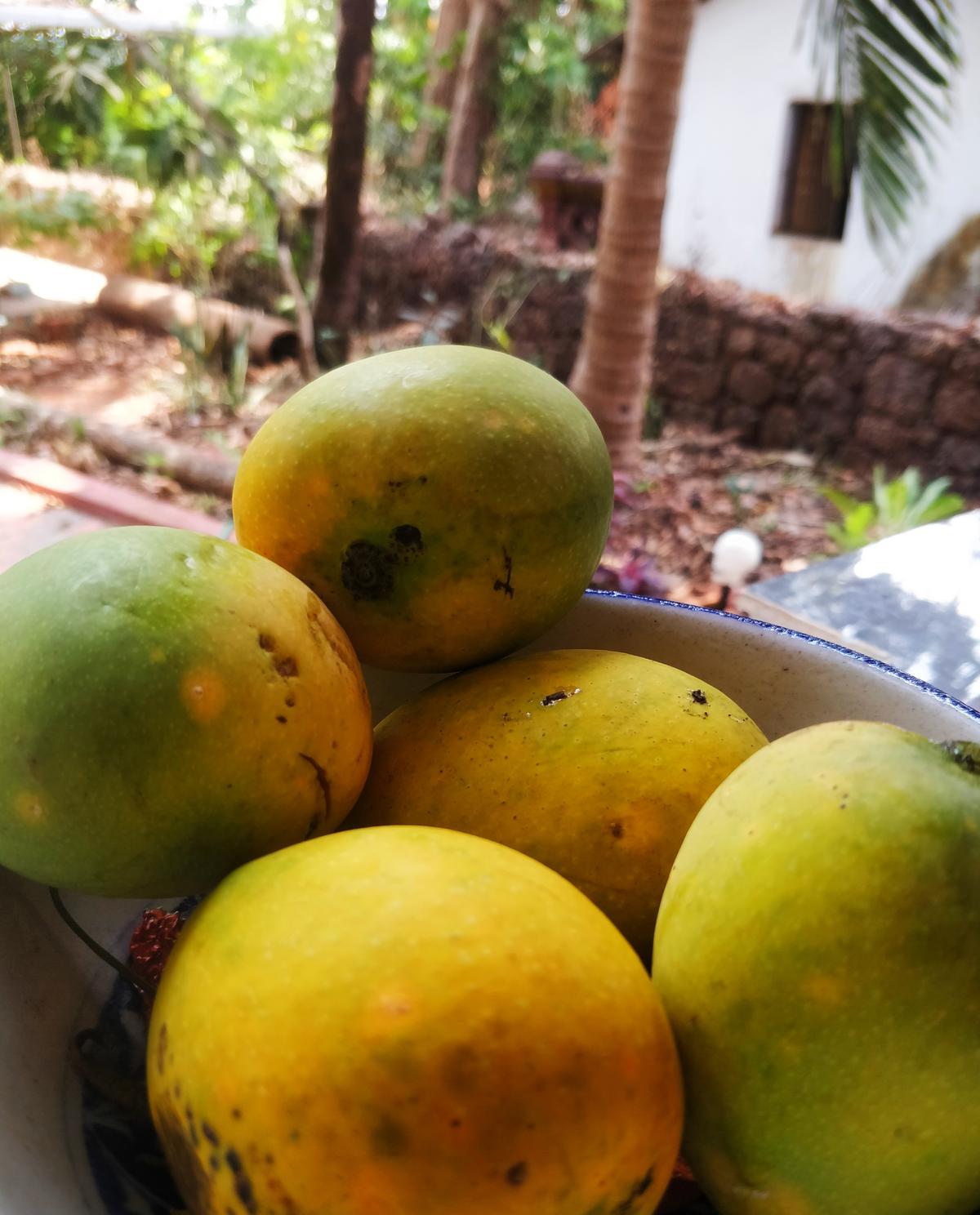 Urrak: Goa’s liquid summer soul