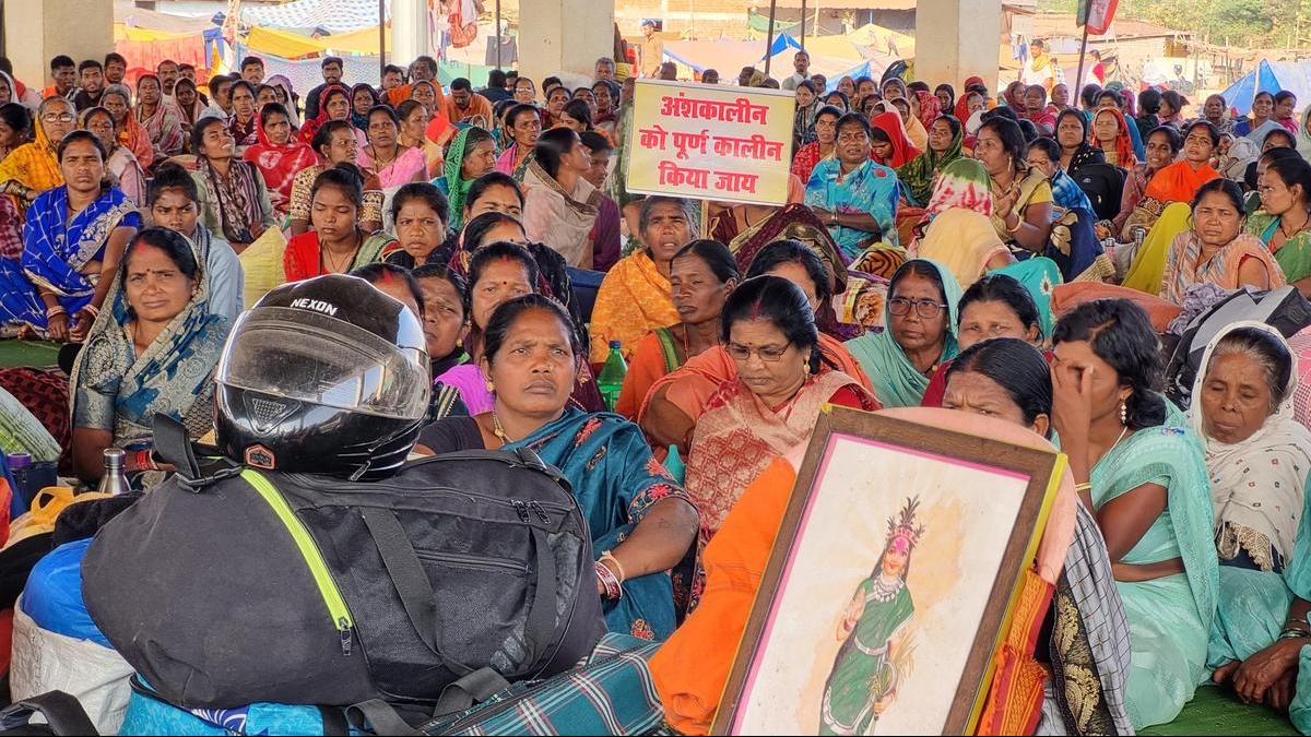 Let her cook
Premium