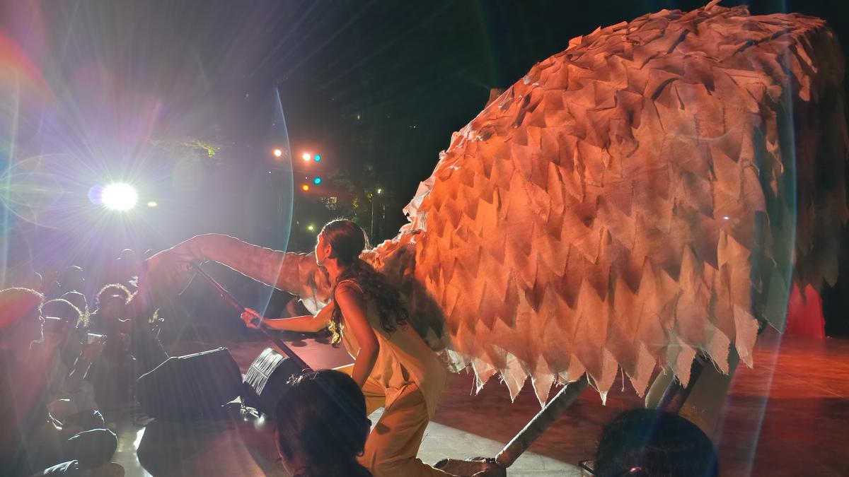 अनुभव गुरंदा: ऑस्ट्रेलिया से नारुंगगा की प्रसिद्ध कहानियाँ चेन्नई आती हैं