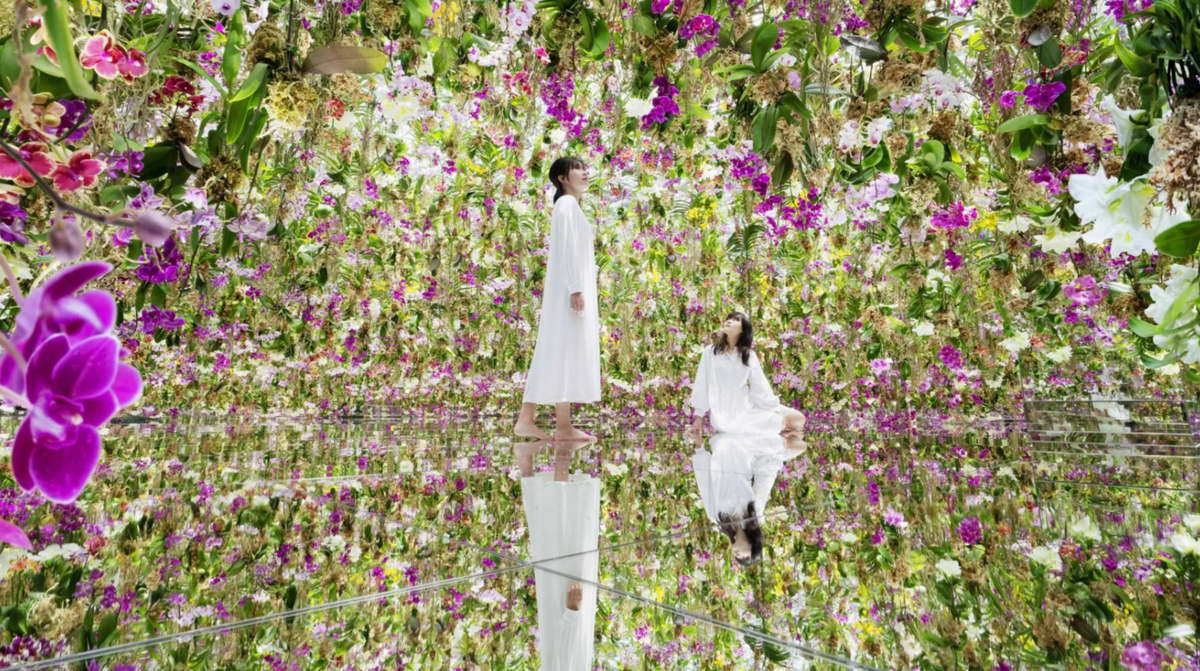 Jardim de flores flutuantes Flores e eu somos da mesma raiz, o jardim e eu somos um Jardim de flores flutuantes Flores e eu somos da mesma raiz, o jardim e eu somos um