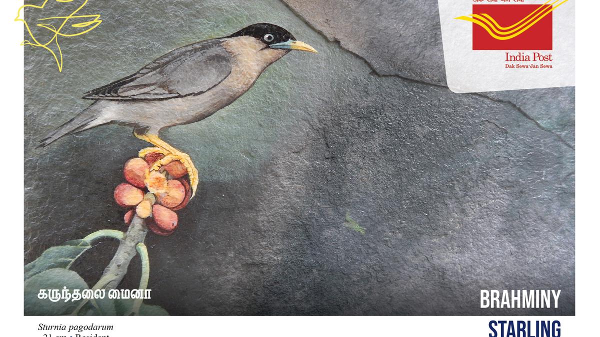 India Post releases postcards featuring the birds of  Tiruvannamalai