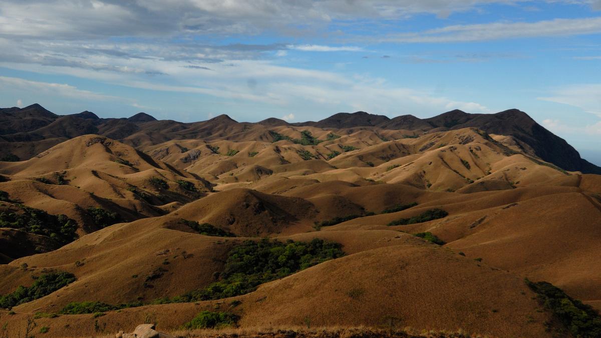 Wild Tamil Nadu, showcasing the biodiversity of the state, to premiere in Chennai