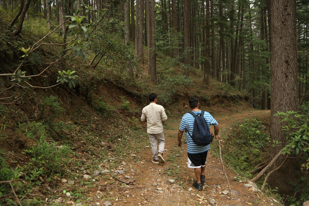 Foraging in the Shivalik Hills